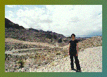 More Arizona Desert