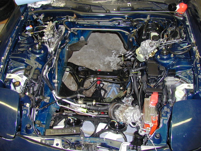 P4020151.JPG