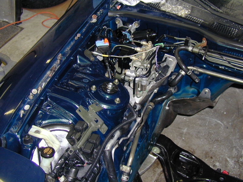 P4020152.JPG