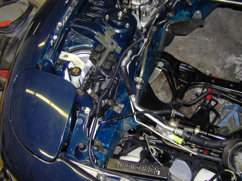 P4020154.JPG