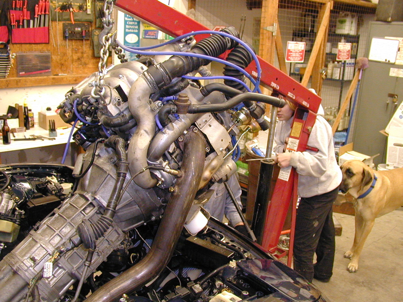 P4020189.JPG