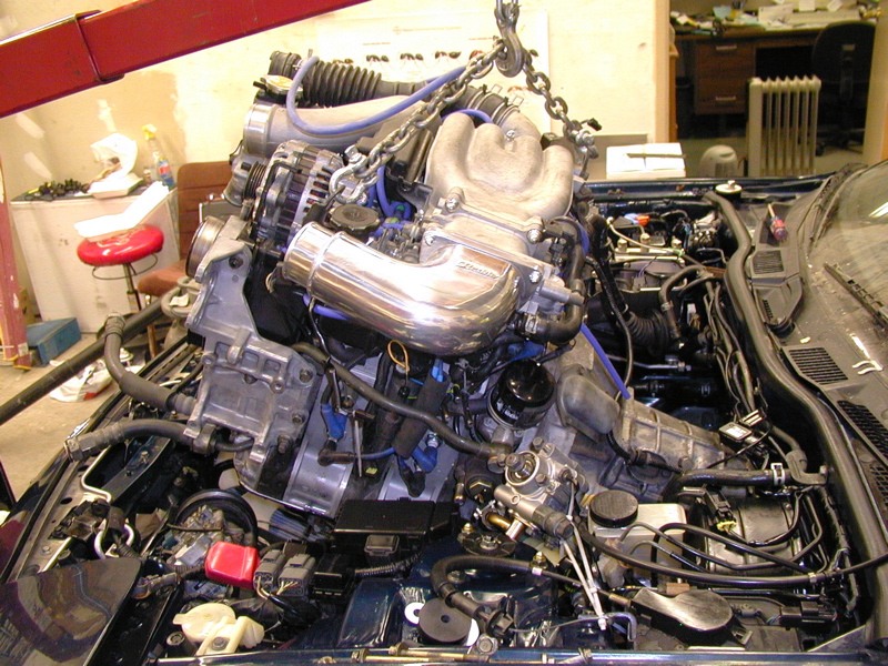 P4020194.JPG