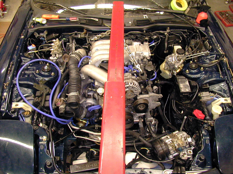 P4020205.JPG