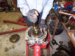 100_1259.JPG