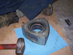 100_1302.JPG