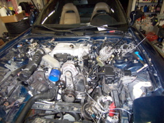 100_1167.JPG