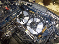 100_1590.JPG