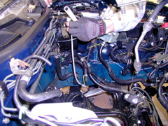 P4020182.JPG
