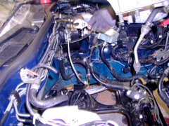 P4020184.JPG