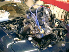 P4020193.JPG