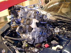 P4020196.JPG