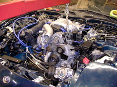 P4020203.JPG