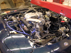P4020204.JPG
