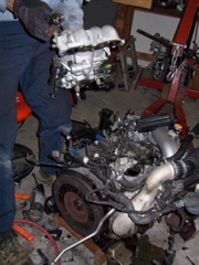 100_1203.JPG