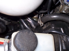 100_2122.JPG